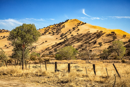 california caliente allen’scrossing railroad southernpacific town kerncounty tree foothills greenhornmountains fence grass cloudscape sky oaktrees calientebodfishroad