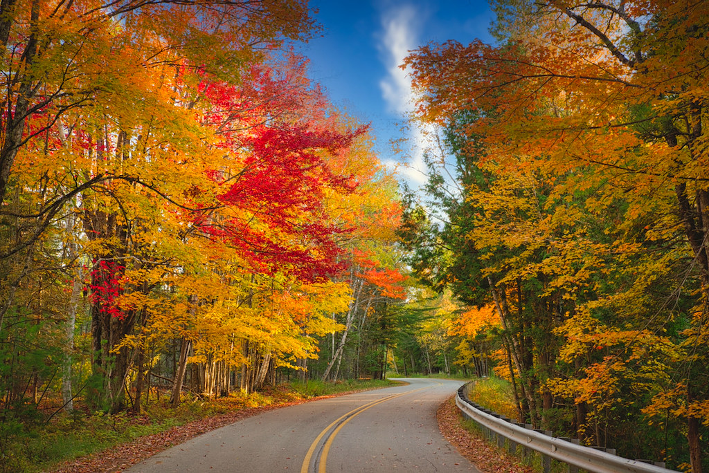 Down That Cedar River Road:  Fall Color