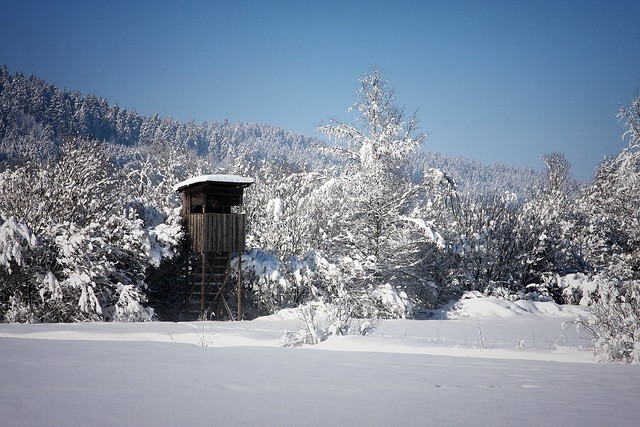 Winter in Bavaria