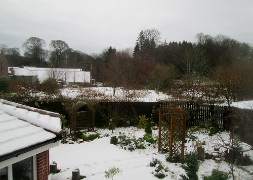 Snowy Garden