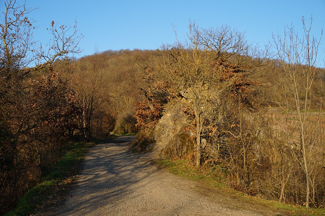 Rotweinwanderweg bei Ahrweiler