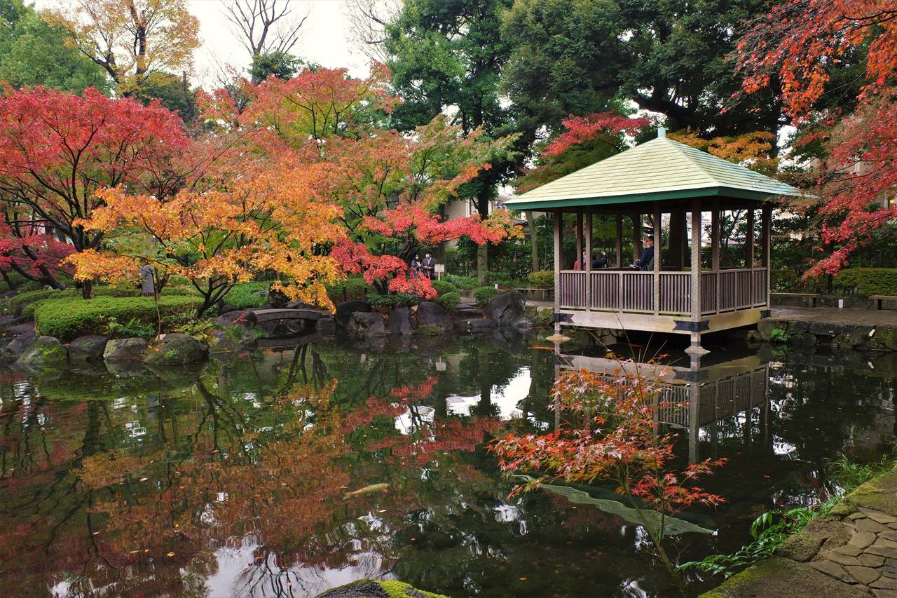 大田黒公園　池の紅葉風景