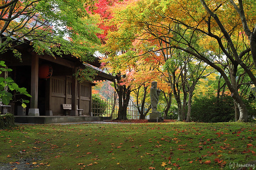 Nomiyama kannonji Temple