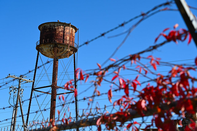 Water tower with red vine