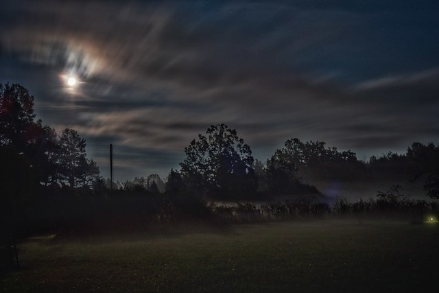 Nocturnal landscape