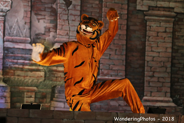 Tiger in the Cultural Dance Show - Bagan Myanmar