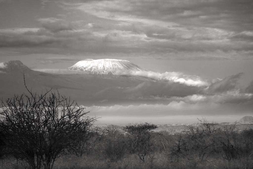 kilimanjaro rising above the serengeti