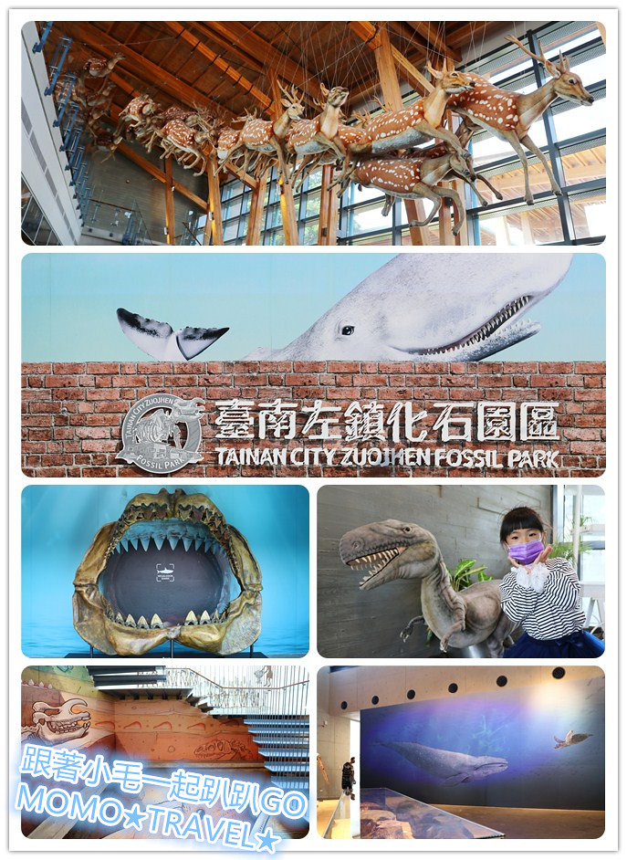 台南,左鎮,台南左鎮化石園區,博物館,化石,親子景點,公園