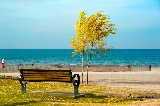 ...bench with a view....Lake Ontario.......HBM!