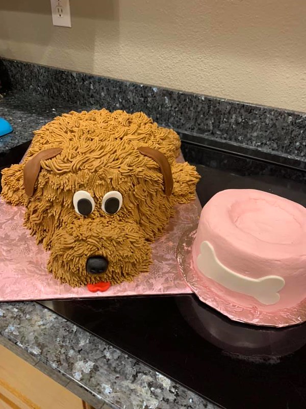Dog Cake from Cakes by Kathy