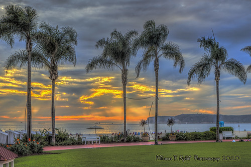 hoteldelcoronado coronadoisland sandiego sandiegocounty pacificocean palmtrees sunset