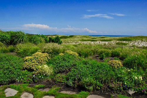 landscape blue green peaceful dunes li ny usa flowers shrubs grass path nature nikon nikkor ccd digital vivid clouds sky ocean atlantic coast coastal maritime dx apc