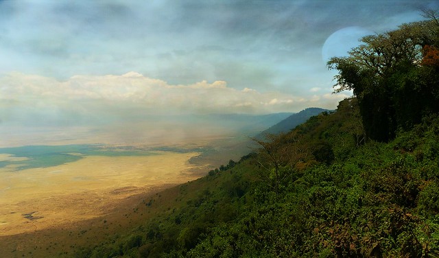 Ngorongoro Crater Highlands