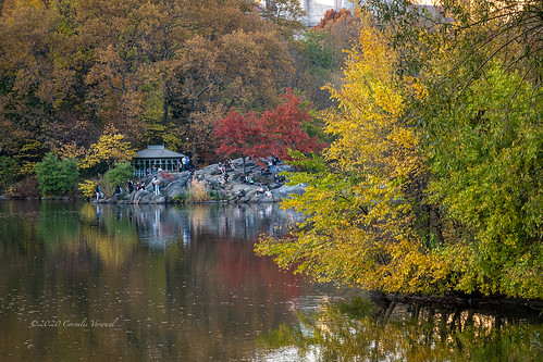 autumn centralpark hernshead ladiespavilion thelake newyork ny usa sonyrx100vi