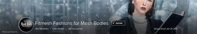 Fitmesh Fashions for Mesh Bodies Group Cover