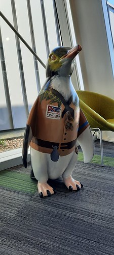 Penguin at Te Hāpua: Halswell Centre