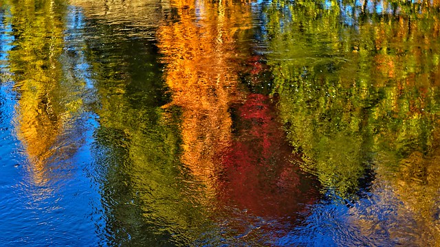 River reflections