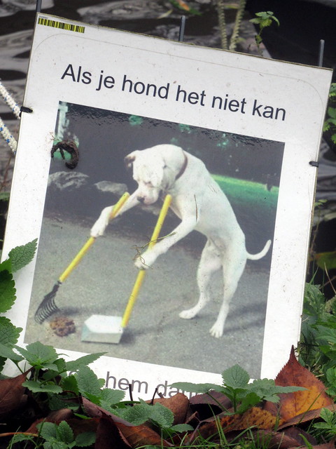 Dog Labour