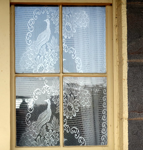 flagstaffhillmaritimemuseum warrnambool windows 019566 019567 rx100m6 fenster windowwednesdays dwwg peacock pfau curtains gardinen outdoor outside spiegelung reflections