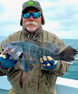 Photo of man holding a black sea bass