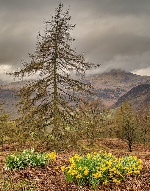 april in the lakes