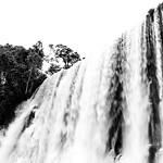 03 Parque Nacional de Iguazú