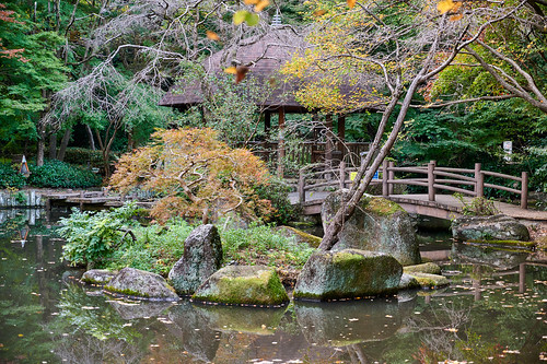 pond bridge landscape nature park 池 橋 自然 公園 東高根森林公園 神奈川 higashitakanepark kanagawa japan