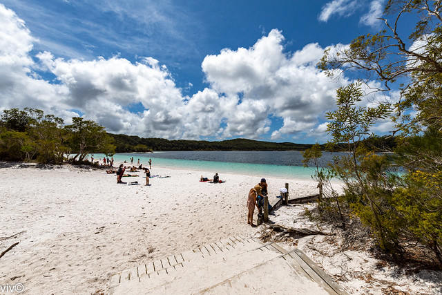 Unique colours of pristine Lake Mckenzie, Fraser Island, Queensland,  Australia