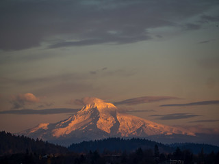 mt hood from the office