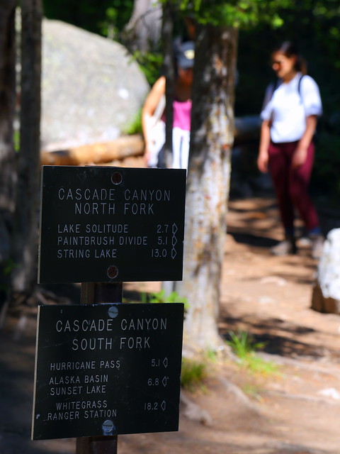 IMG_3333 Cascade Canyon