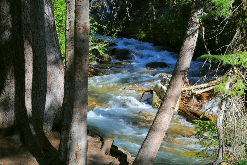 IMG_3083 Cascade Creek, Grand Teton National Park