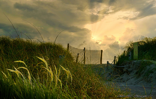 miamibeach cloudy clouds sunrise lights grass outdoors walkingaround urbanexploration fences miamifl sobe dunes