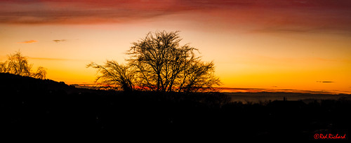 panorama sunset trees sky shadow contrast nikon d800