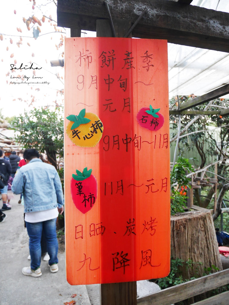新竹新埔景點推薦味衛佳柿餅觀光農場好吃柿子乾自製柿子農場曬柿子 (5)