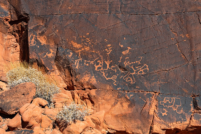 Duck Rock Petroglyph Panel