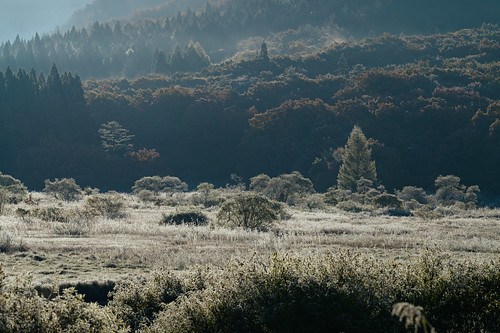lake field japan autumnleaves 紅葉 岡山県 湖 高原 朝景 苫田郡 恩原高原 恩原湖 sunrise