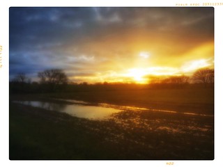 December sun & waterlogged fields