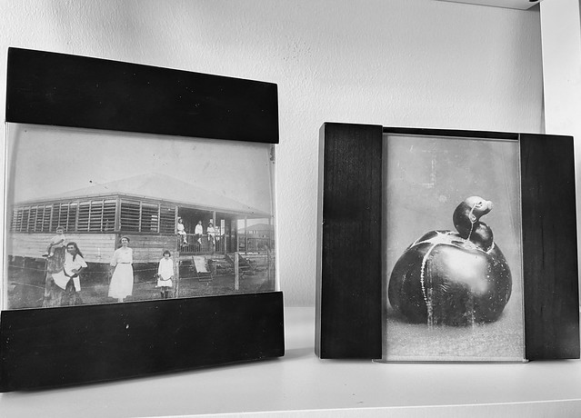 348/366 Photograph of two photographs my Great Grandfather took nearly 100 years ago.