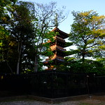XE3F1662 - Tōeizan Kan'ei-ji Endon-in - 東叡山寛永寺円頓院