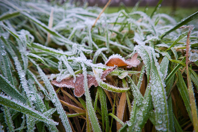 Erster Frost