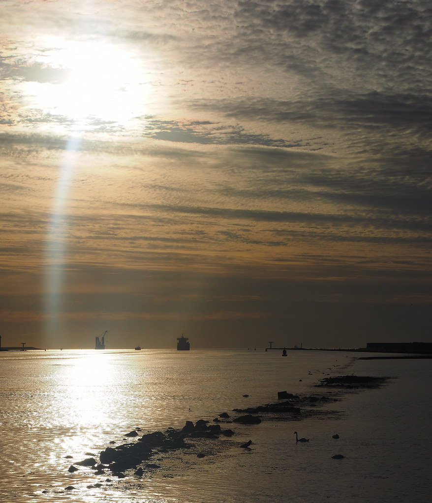 Abendsonne | OLYMPUS DIGITAL CAMERA | Cafeja | Flickr