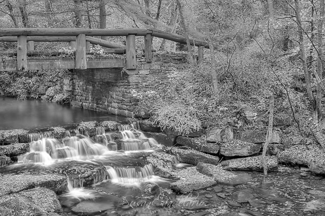 Just Water Under The Bridge BWJust Water Under The Bridge BW - Fall foliage leaves cover the grounds surrounding this  cascade and wodden bridge at Hickory Run State Park in Pennsylvania.This image is also available as a black and white. To view additiona