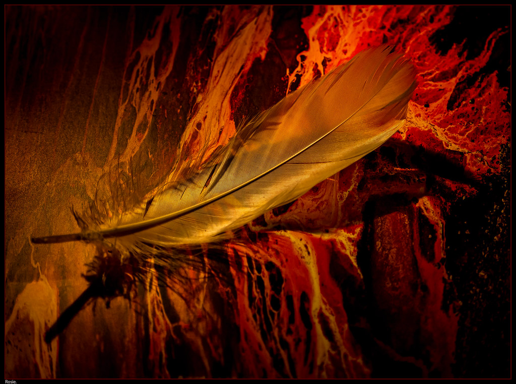 Fiery feather and shadow