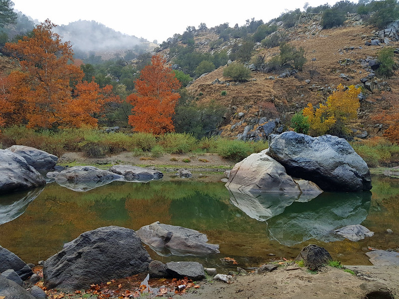 Foliage and Reflections in the Kern River 24