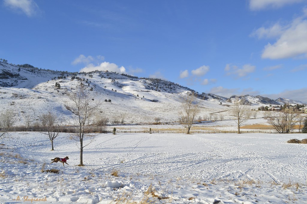 Snowy Winter in Boulder - 2019