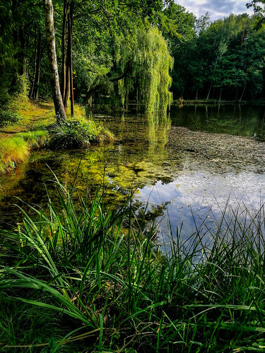hdr landscape lake water light germany hannover travel outdoors nature