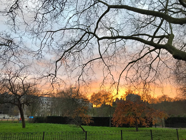 Hyde Park Sunset