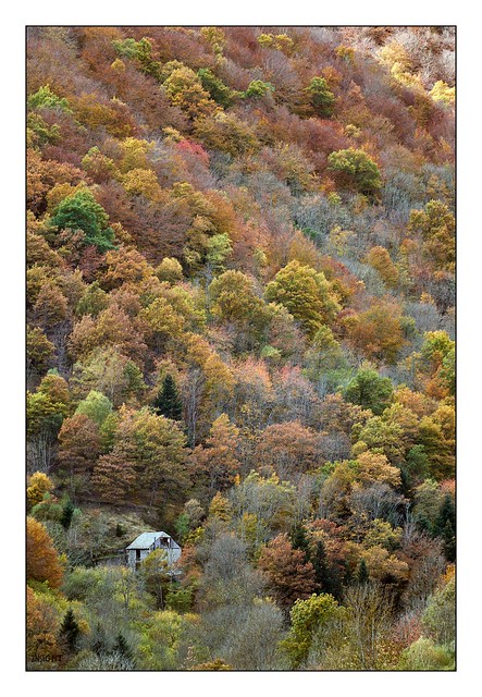 La petite maison dans la montagne - Liitle House on the Mountain