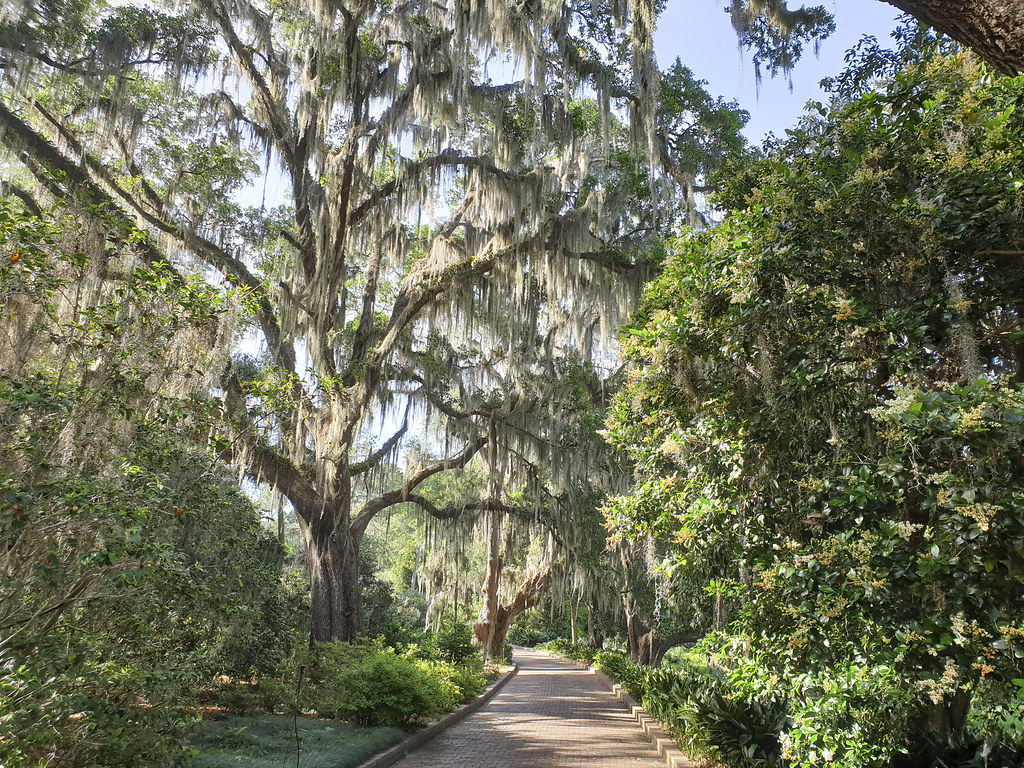 Maclay Gardens State Park - Tallahassee, Florida.