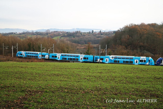 TER SNCF. Near Challex (01). December 14. 2020